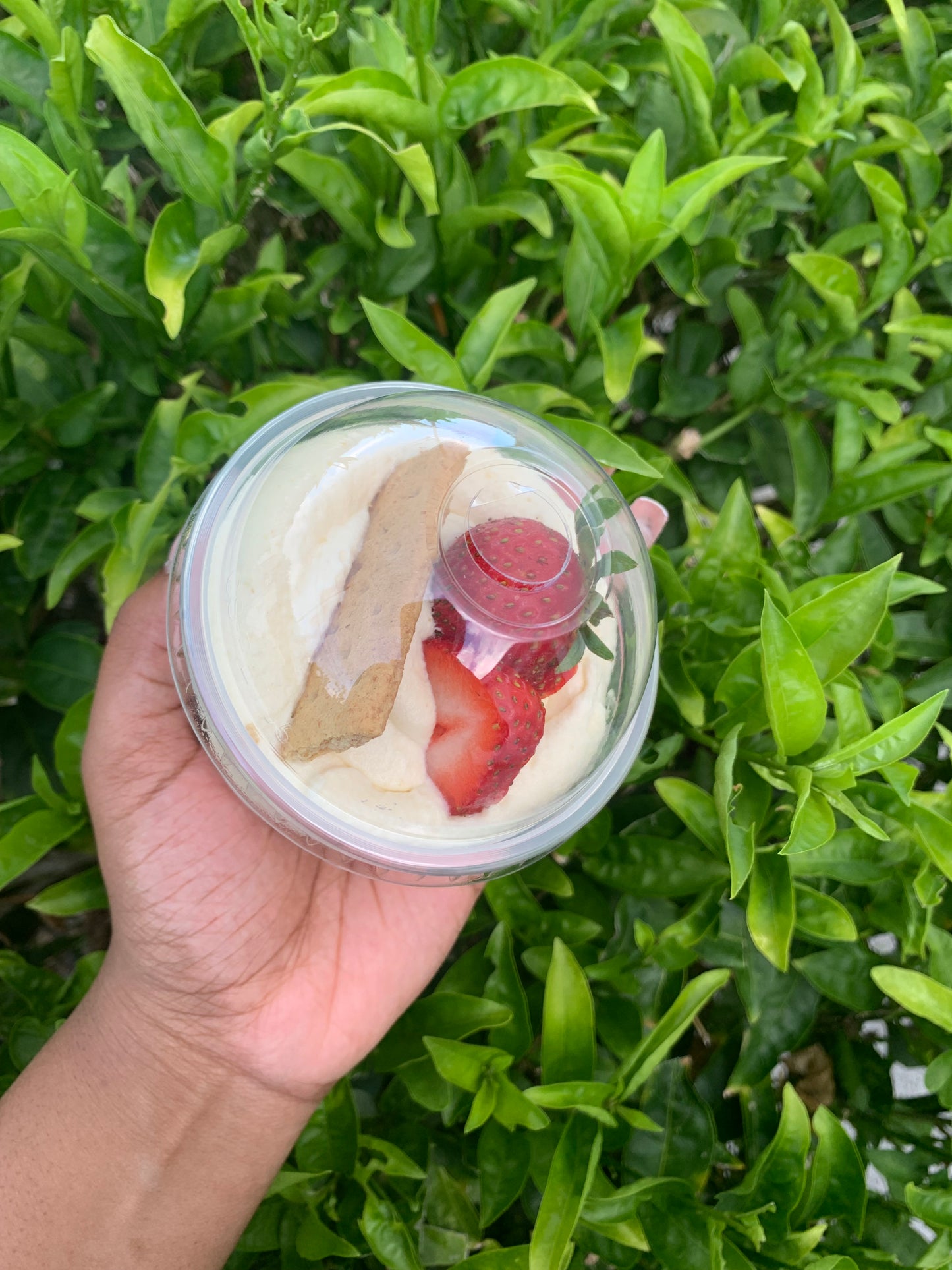 Strawberry Cheesecake Mousse