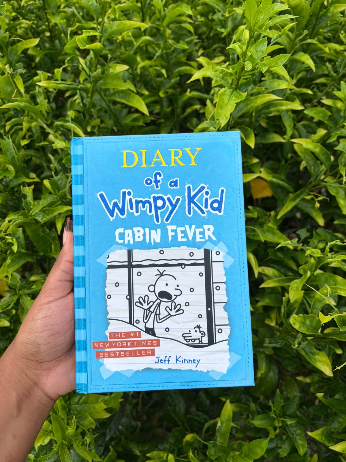 Diary of A Wimpy Kid Cabin Fever