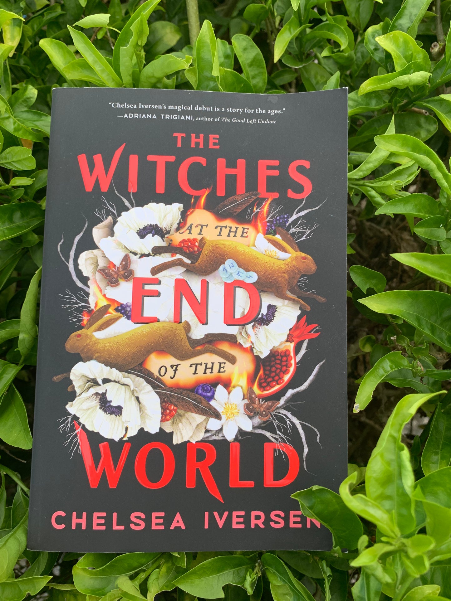 The Witches at the end of the world