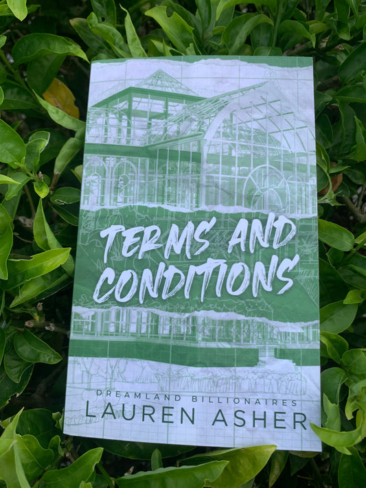 Terms & Conditions (Dreamland Billionaire Book 2)